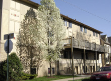 tan apartment building with deck and blooming trees